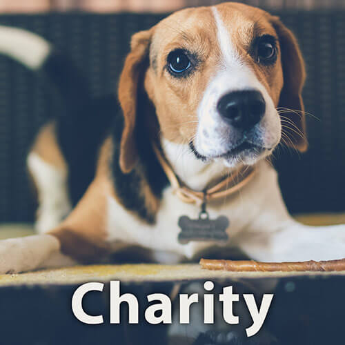 Charity